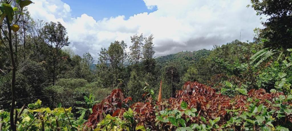 Westernghats Homestay Мадикери Экстерьер фото